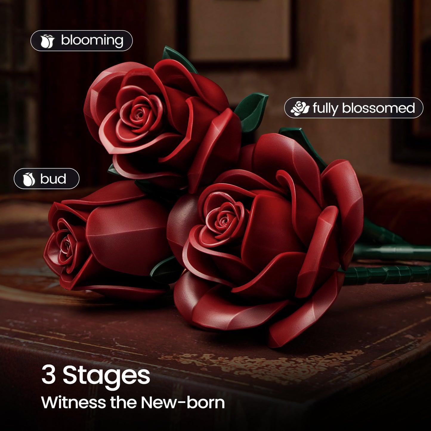 Burgundy Rose Building Bouquet Set