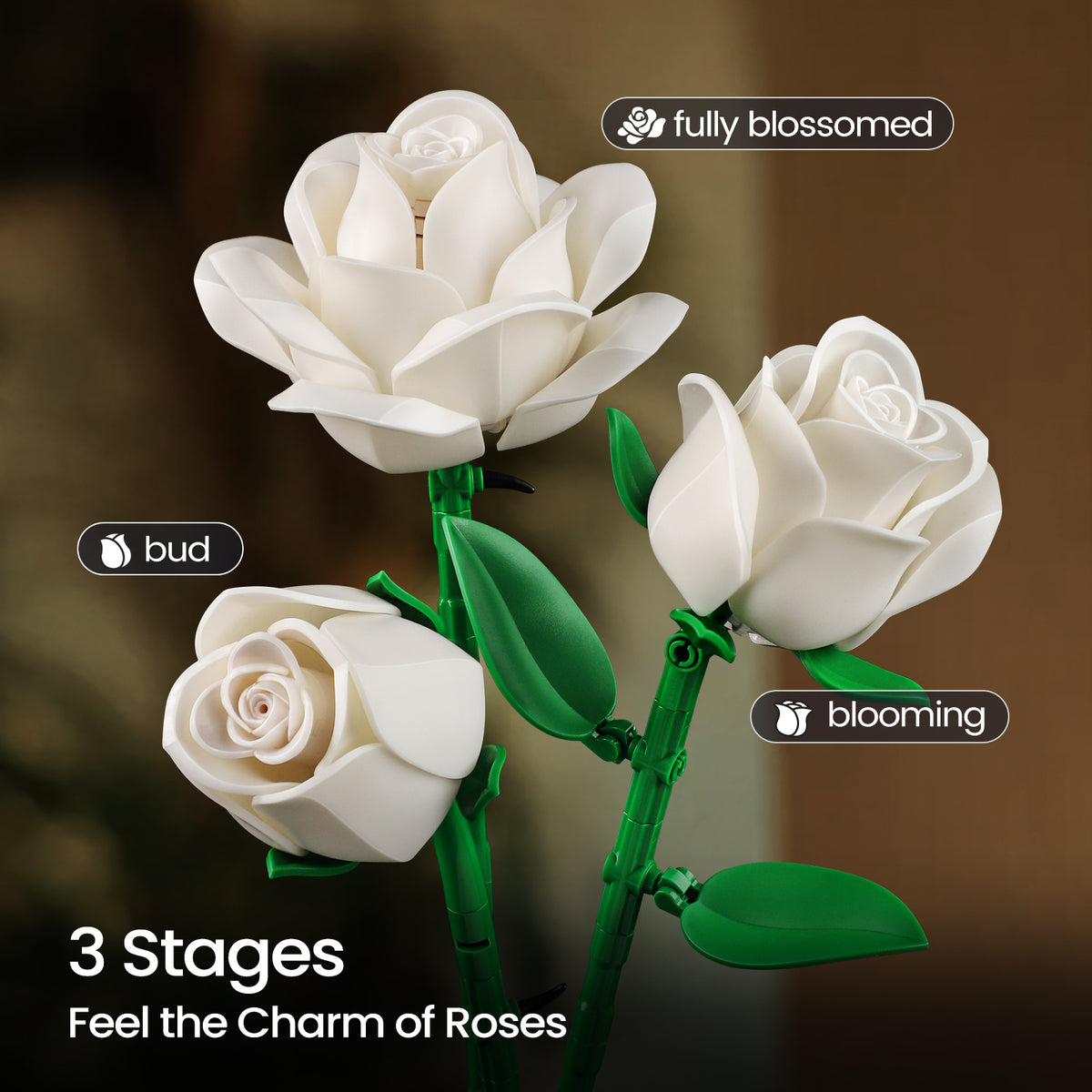 White rose building block set feature image displaying different bloom stages from bud to fully opened roses with green stems and leaves.