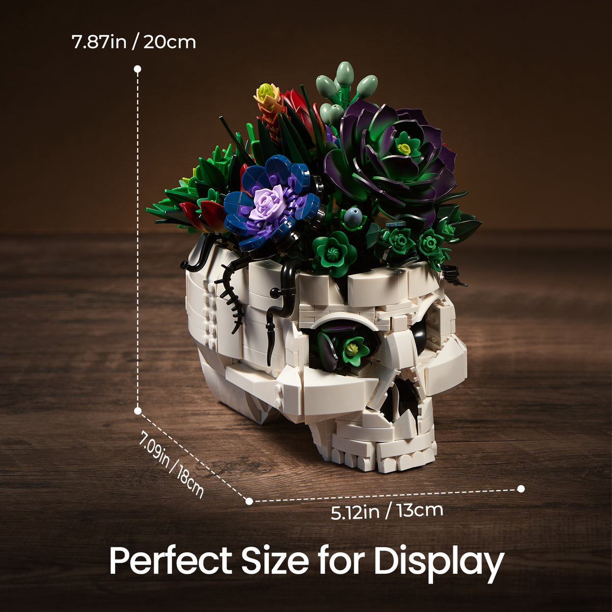 Gothic skull succulent bouquet building block set displayed with size measurements, showing the compact decorative design for desks, shelves, and home spaces.