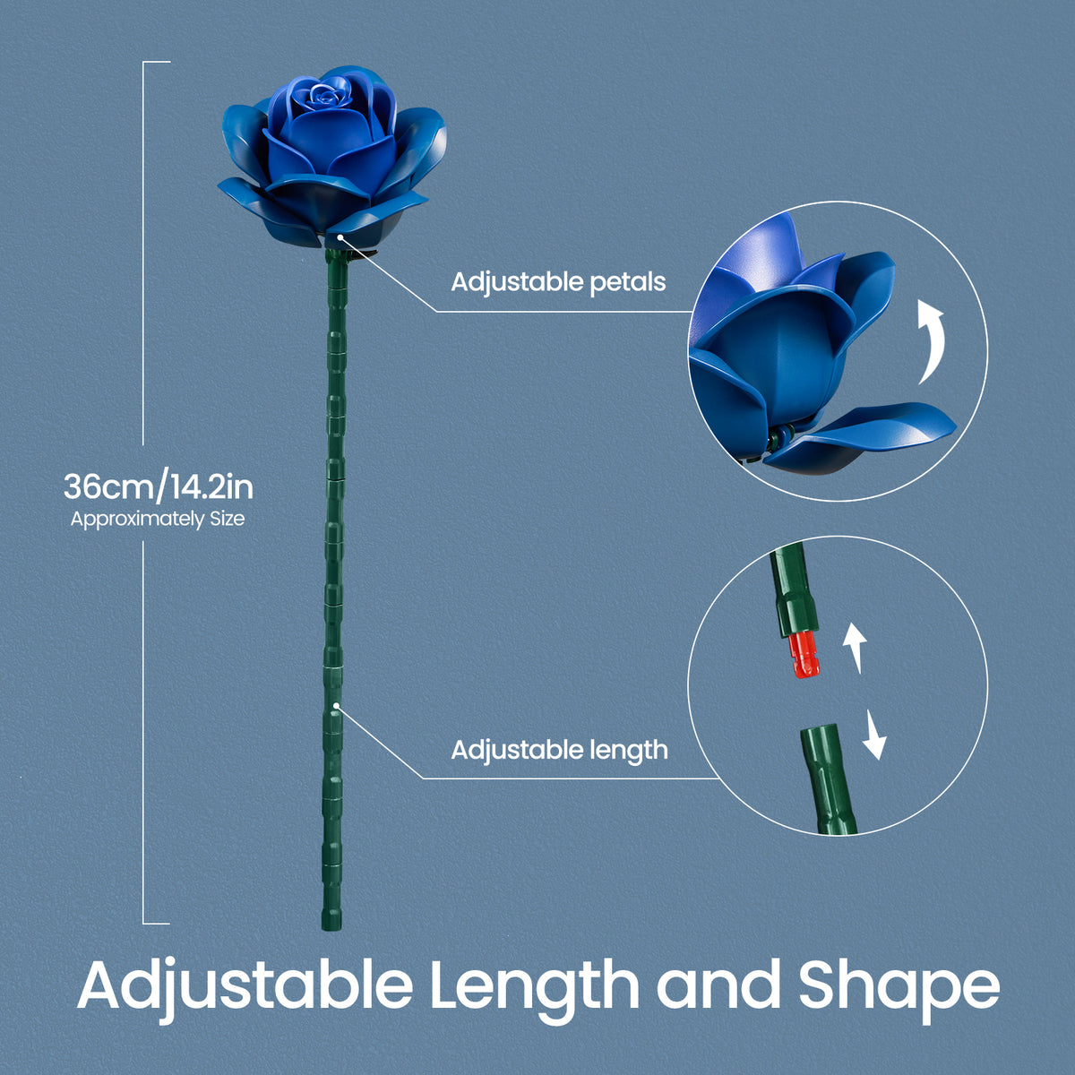 Blue rose building flower with a 36 cm green stem, showing adjustable petals and adjustable stem length