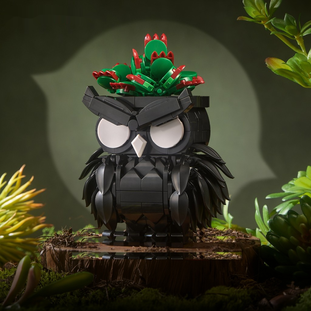 Succulent Owl Botanical Building Kit